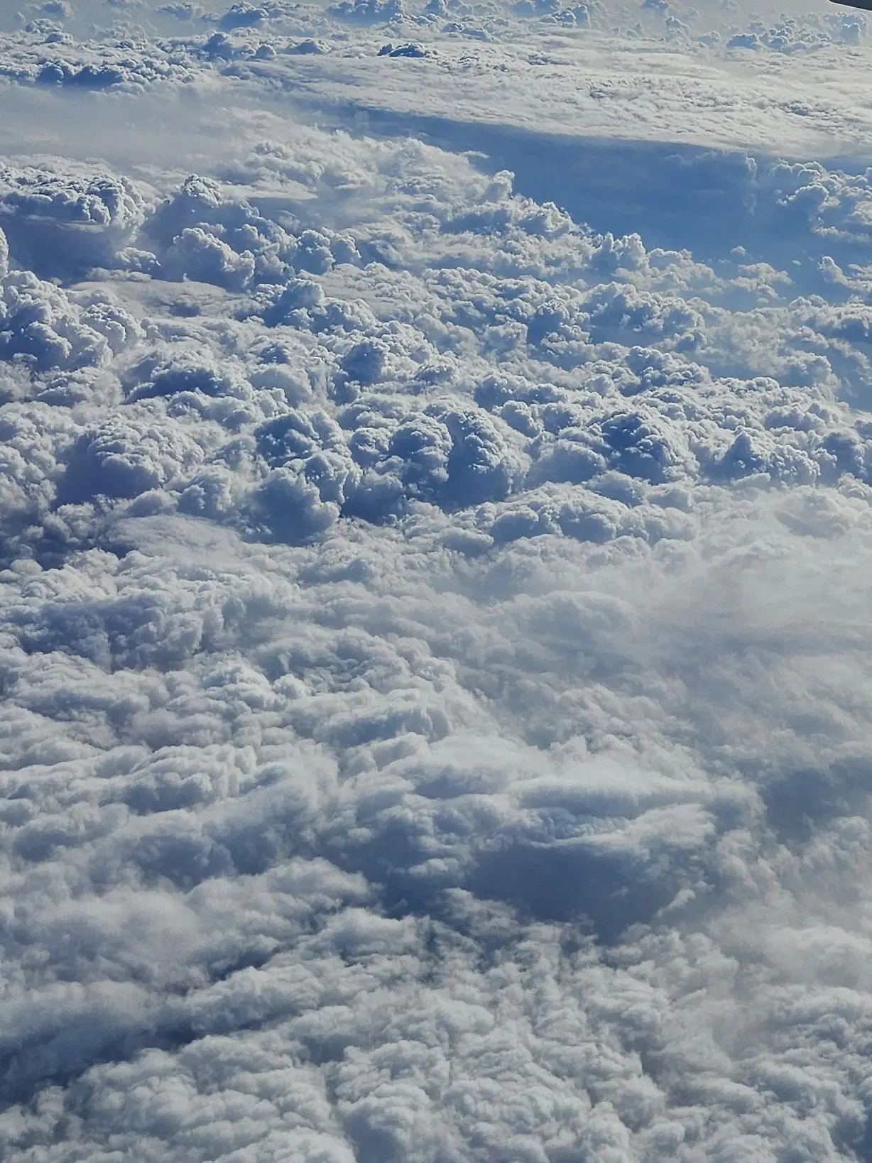 Mypuppyjobangul의 천상계 두 명