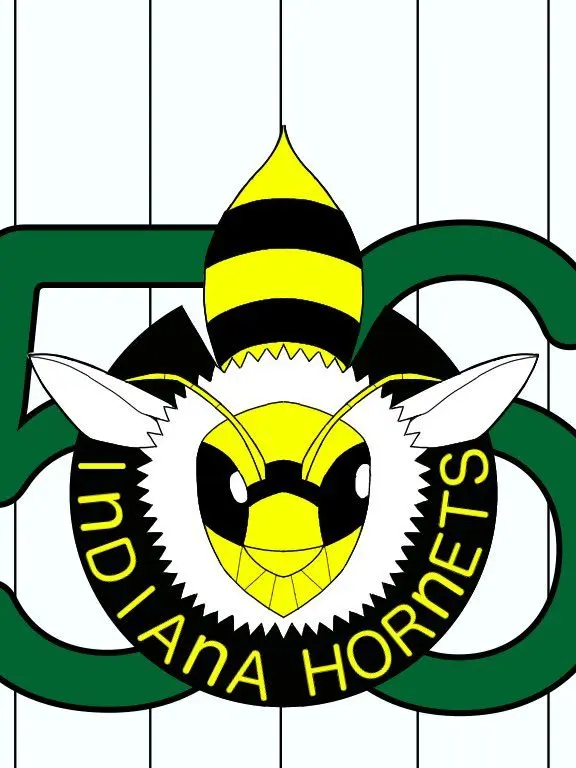 TinyPlug2731의 ホーネッツ