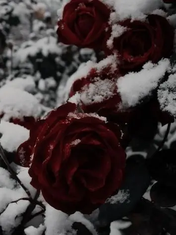 Iamnotailen의 별종