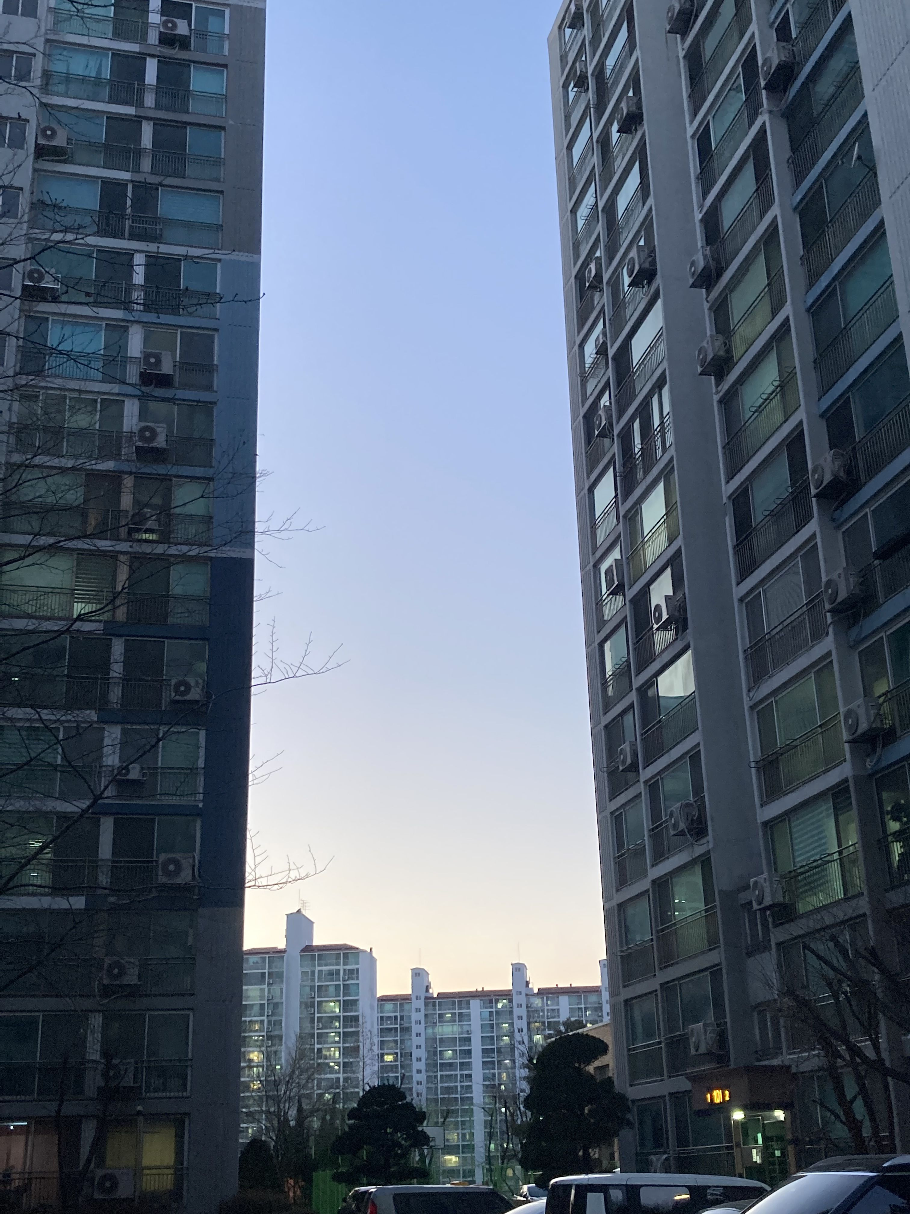 사사키와 미야노 대표 이미지