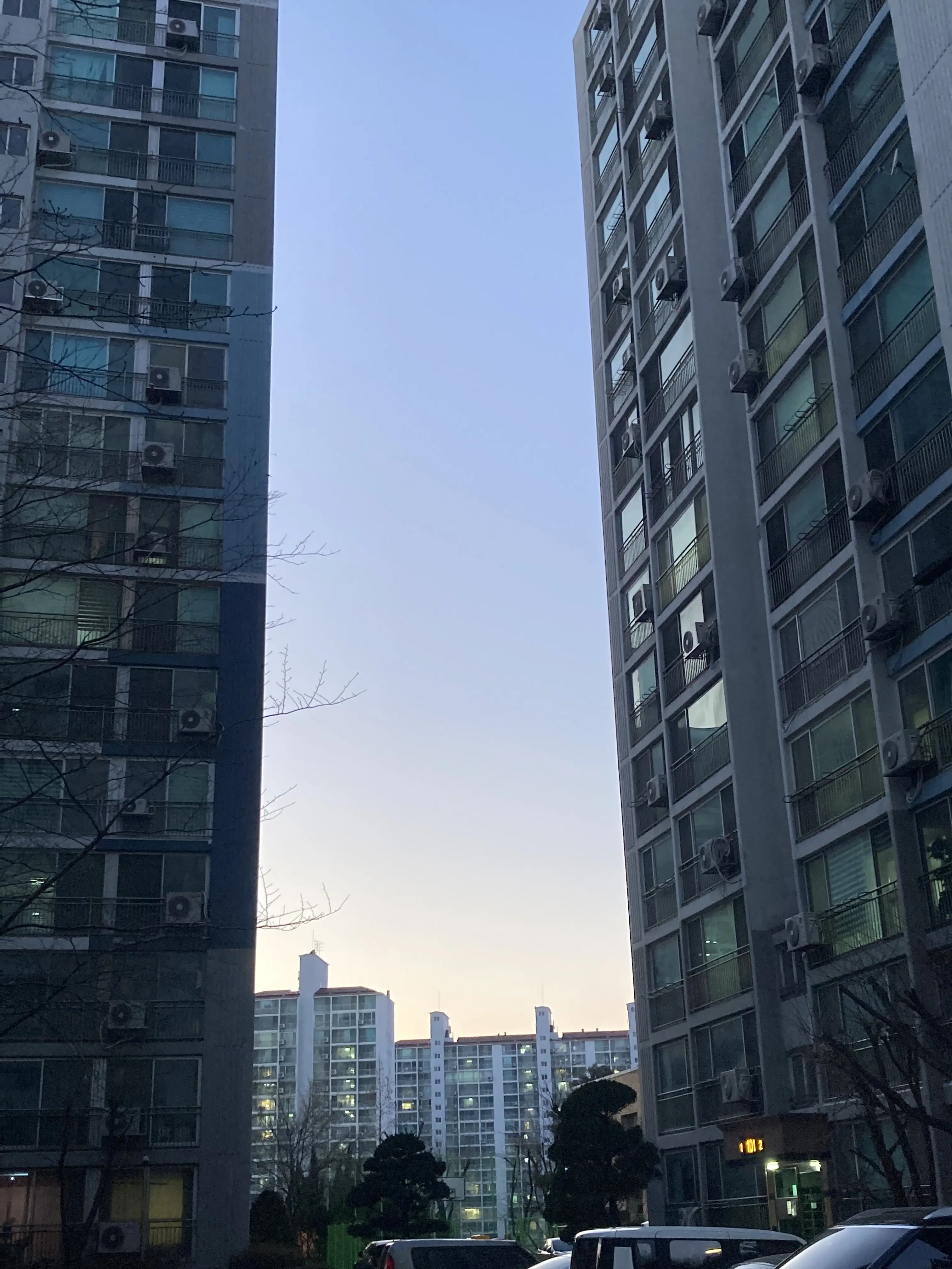 IVEyujinLover의 사사키와 미야노