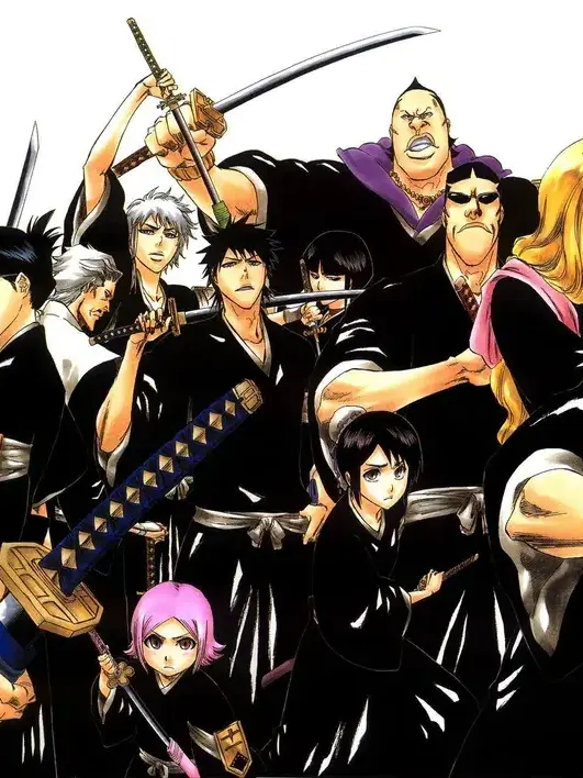 Alpha171의 블리치 호정 13대 부대장들