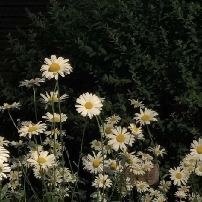 FluidKnob1417의 장 . 하 . 오