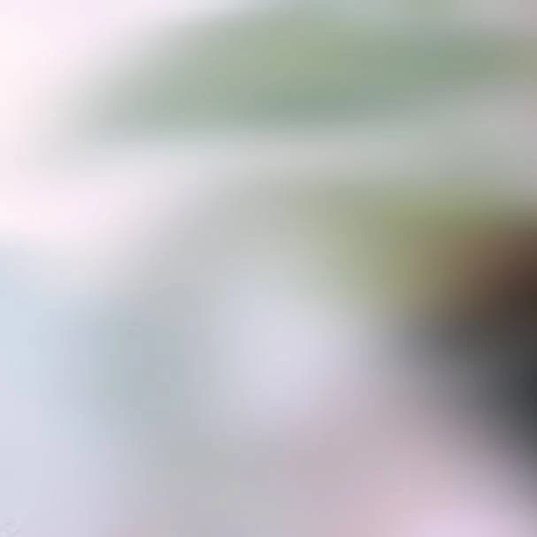 スマホのカメラロールなんて...？♡