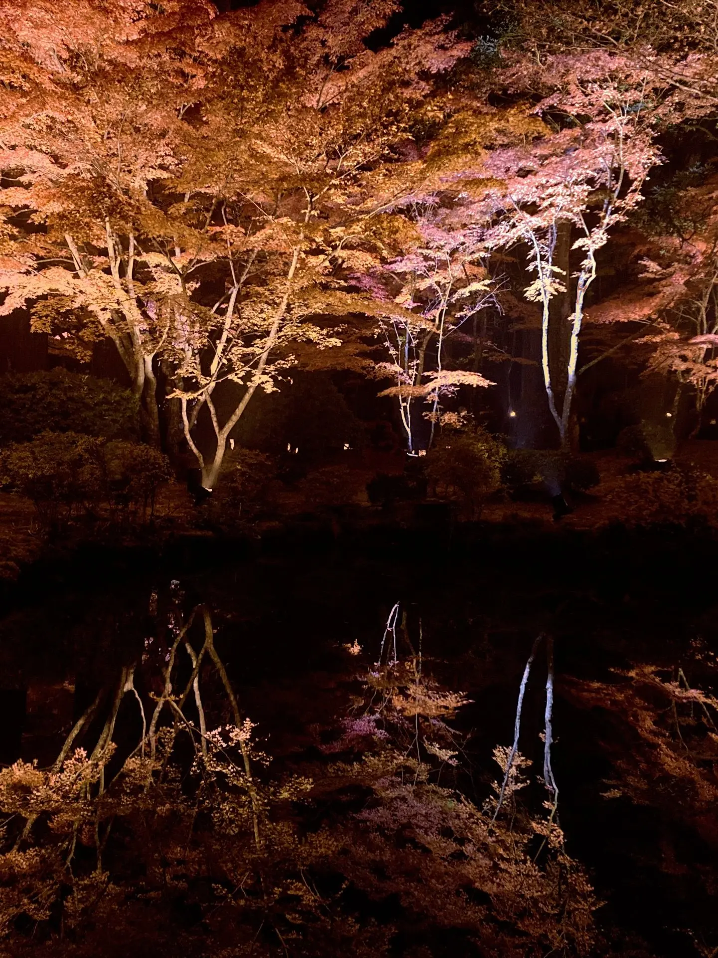 BouncyAlert9749의 陰キャ同士仲良くしよう？