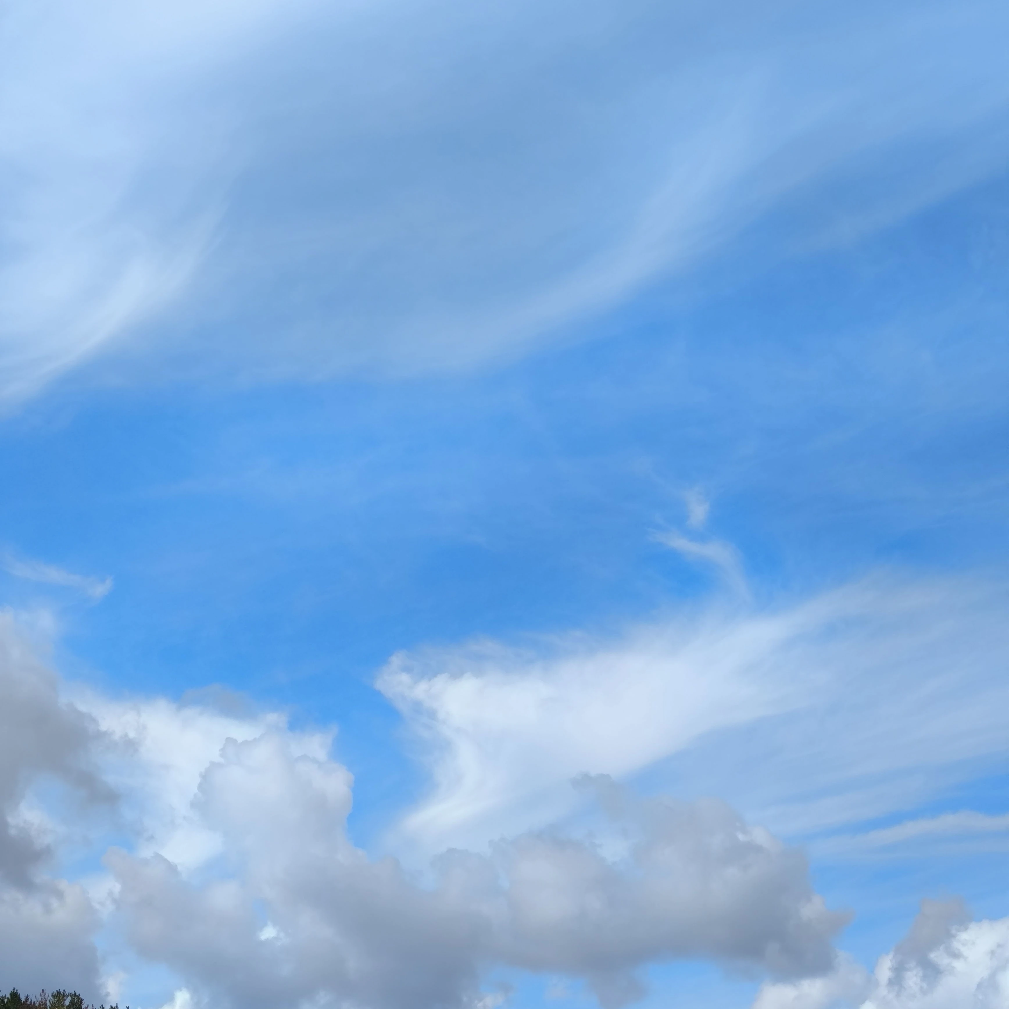 엄격한 신유 친오빠