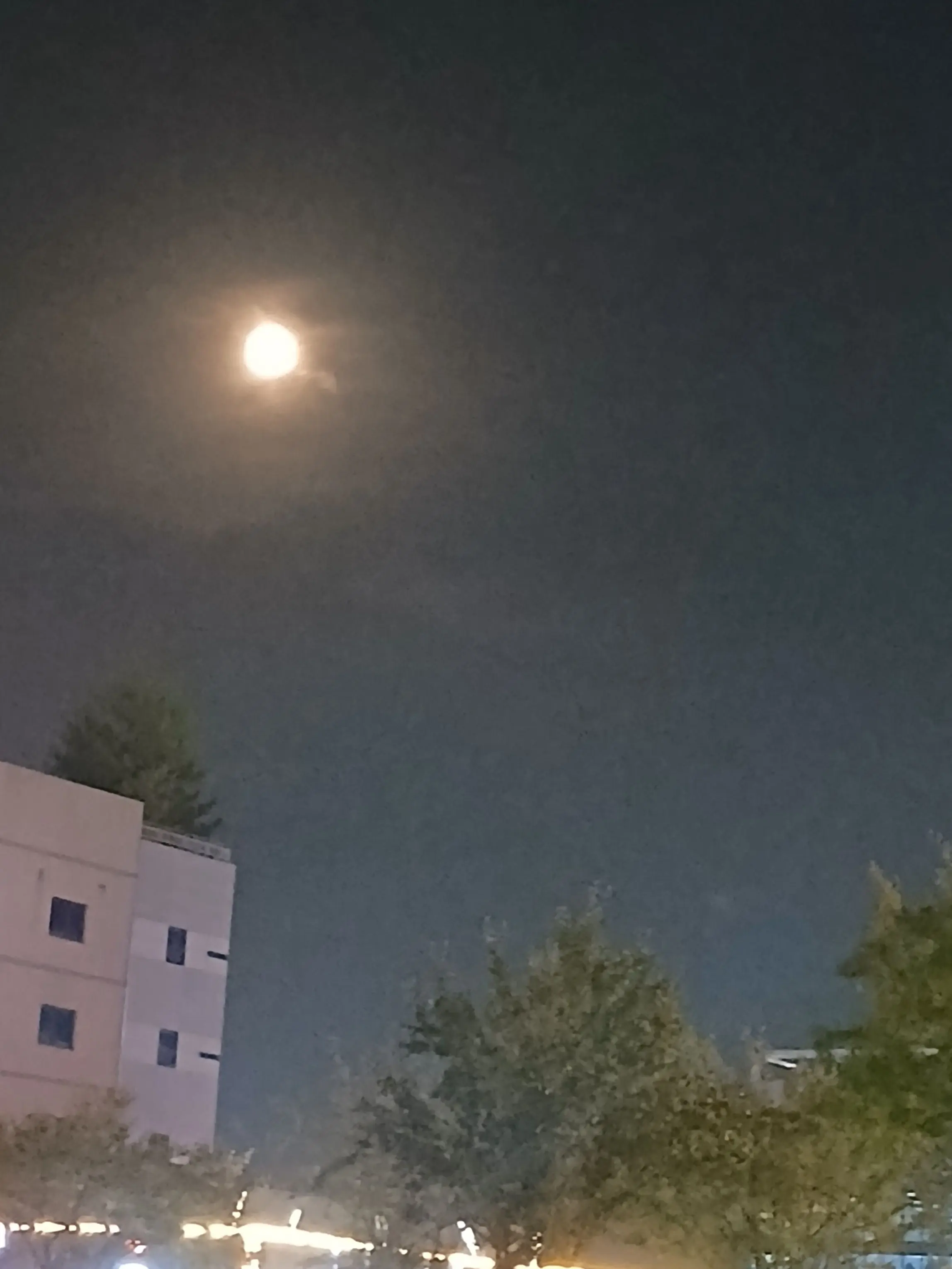 SolemnPark9977의 "걍 둬  그 쓰래기같은년.."