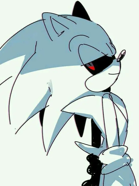 Nirue의 소닉 EXE.