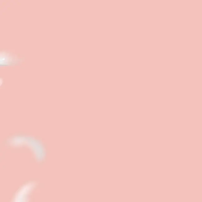 Citronbear3925의 総長になってみよう