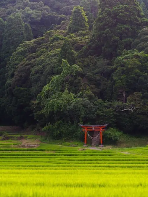Paiting의 네? 제가 신령이요?