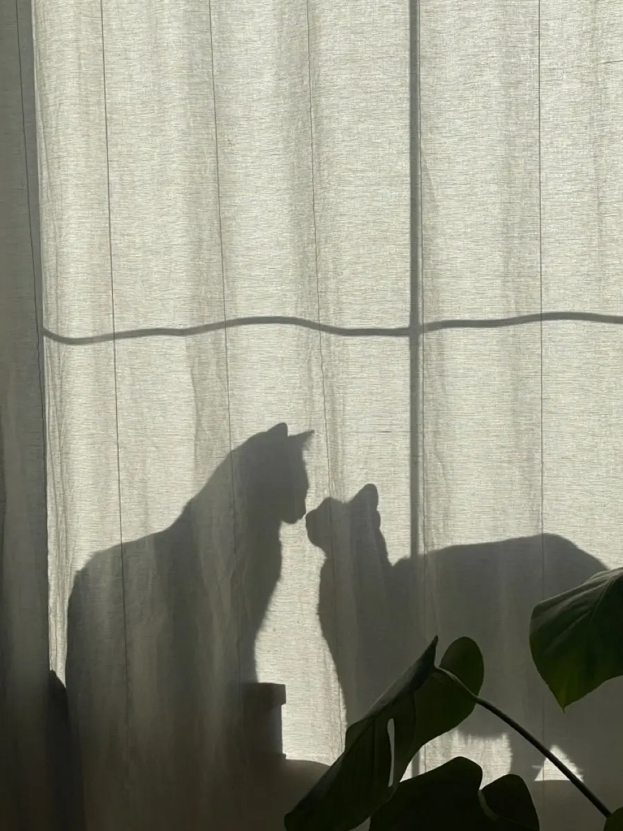 _1na.nu1의 ねこ...♡