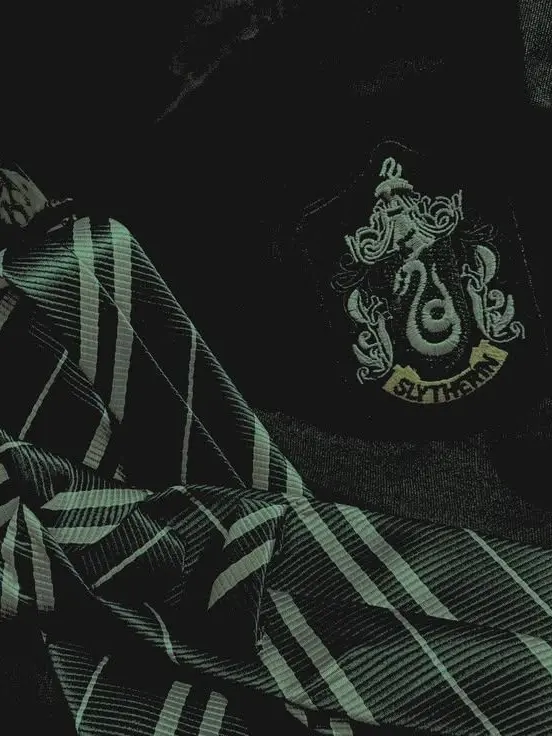 Aiko2Fine의 !SLYTHERIN!