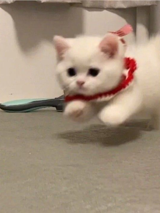 최산 대표 이미지