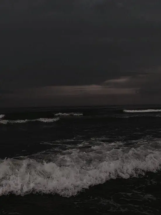 Chaeso4224의 보스