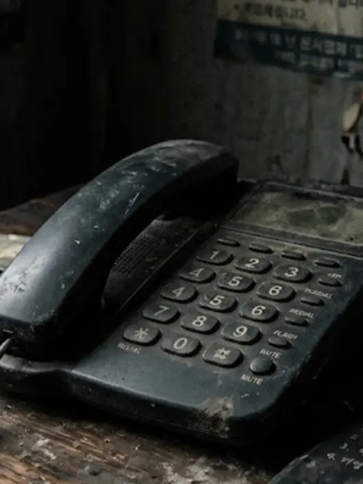 Tingle의 444-44444