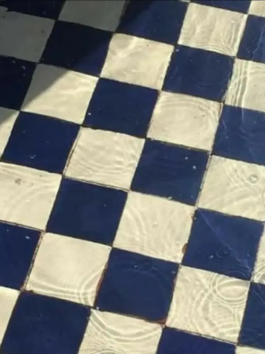 inha7788의 어지로운 10남매