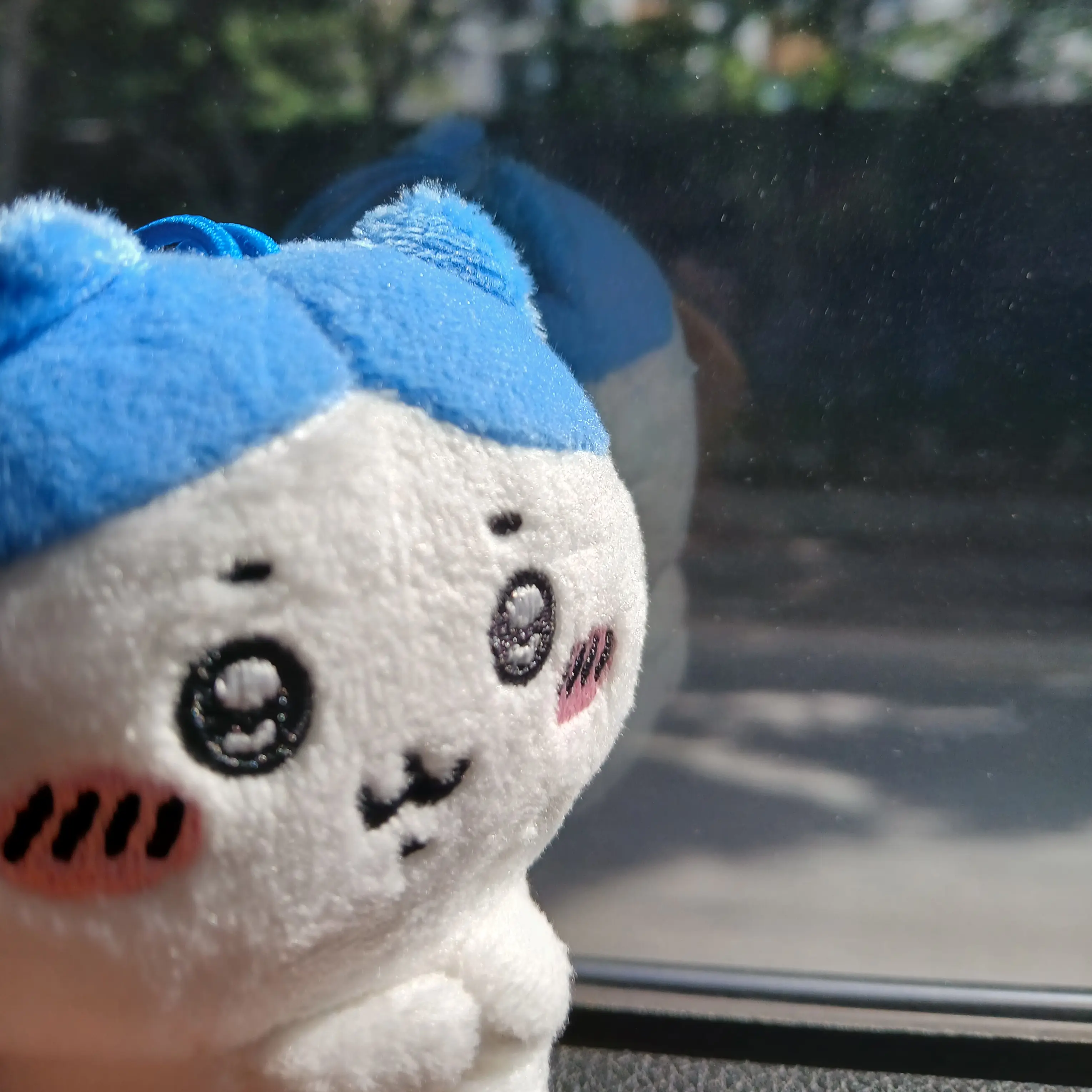 ONEUS의 메보즈🐹🐰