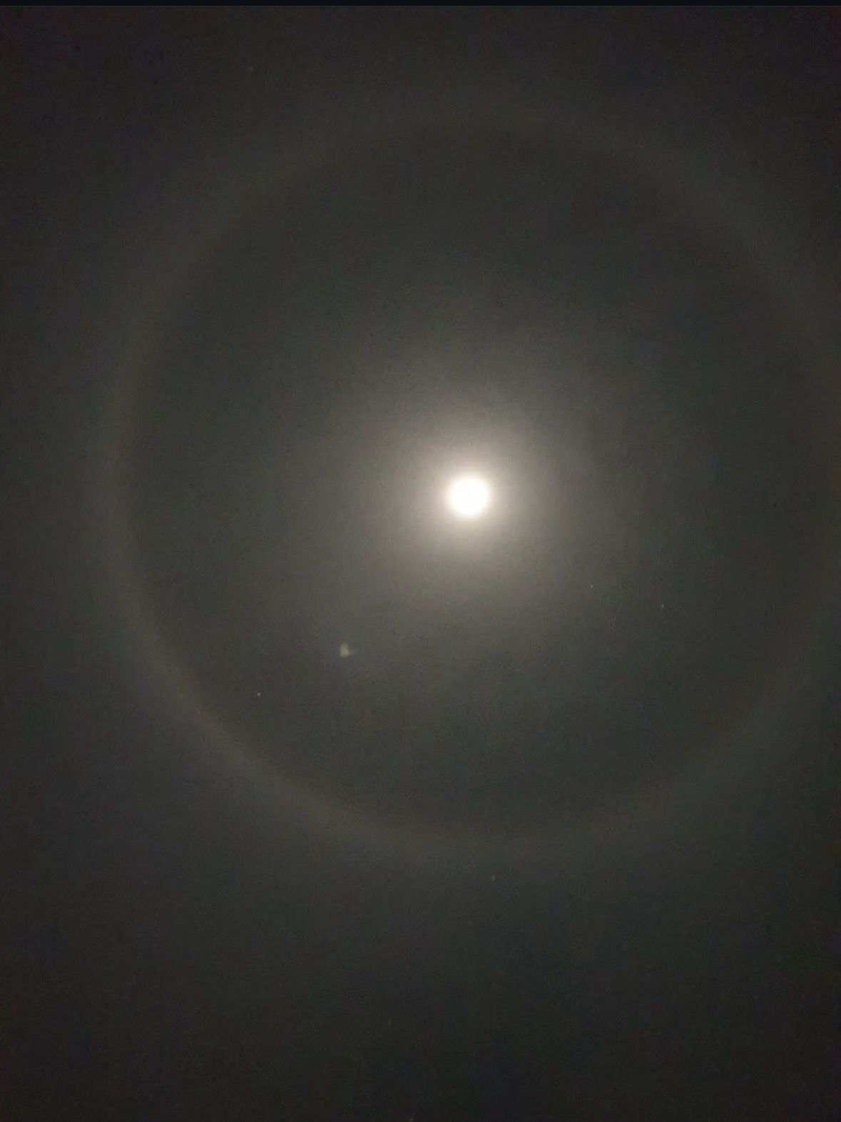 김선우 대표 이미지
