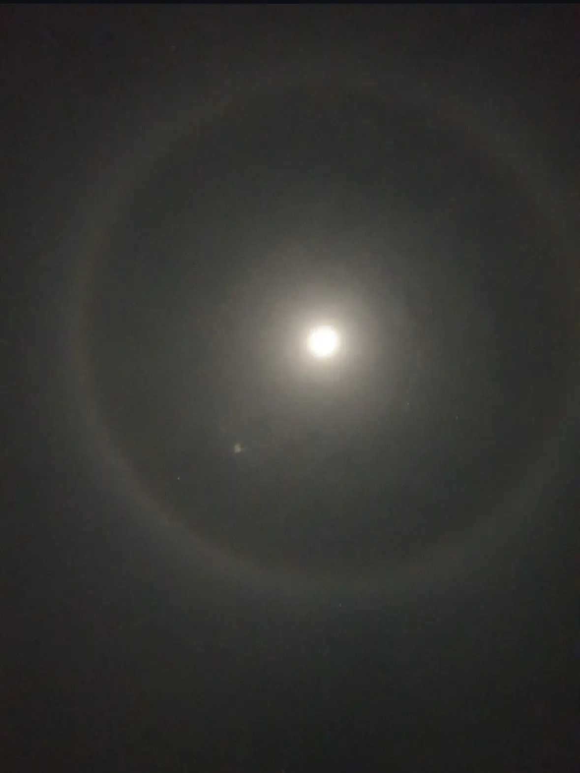 412412412의 김선우