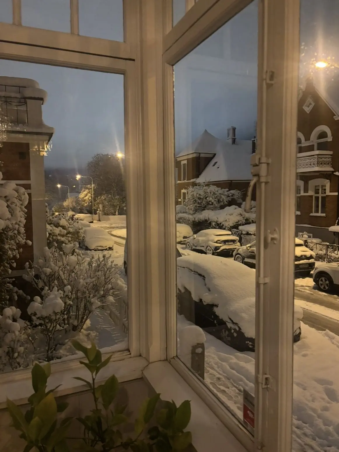 PlaidQuill3296의 Snowstorm