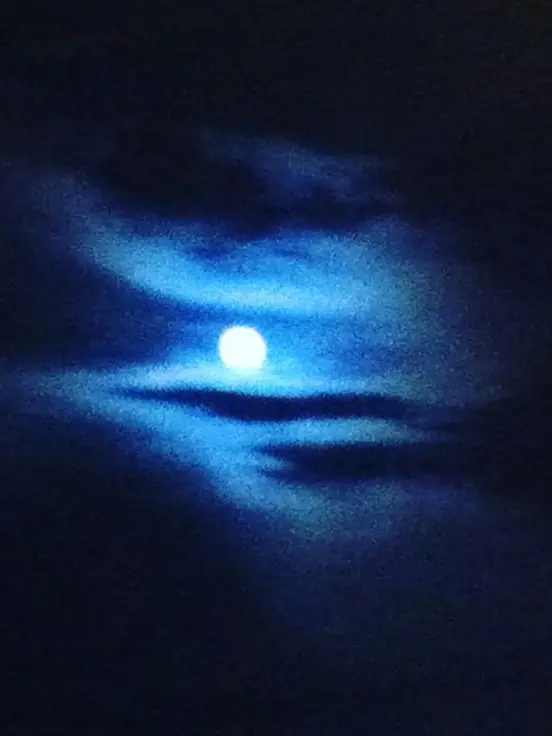 Pantaldott_0242의 Fly me to the Moon!