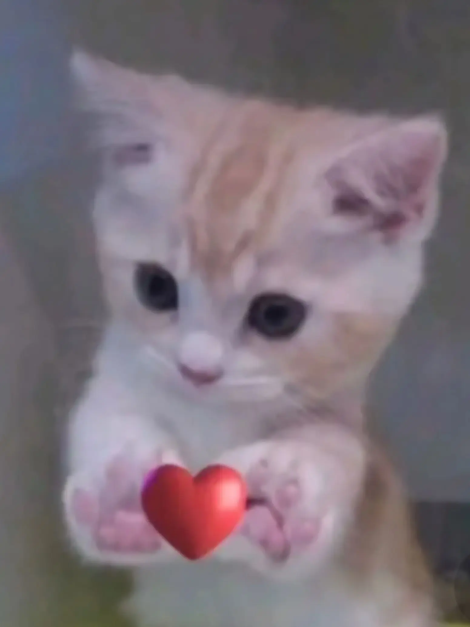 BareEasel3691의 사람이 되.