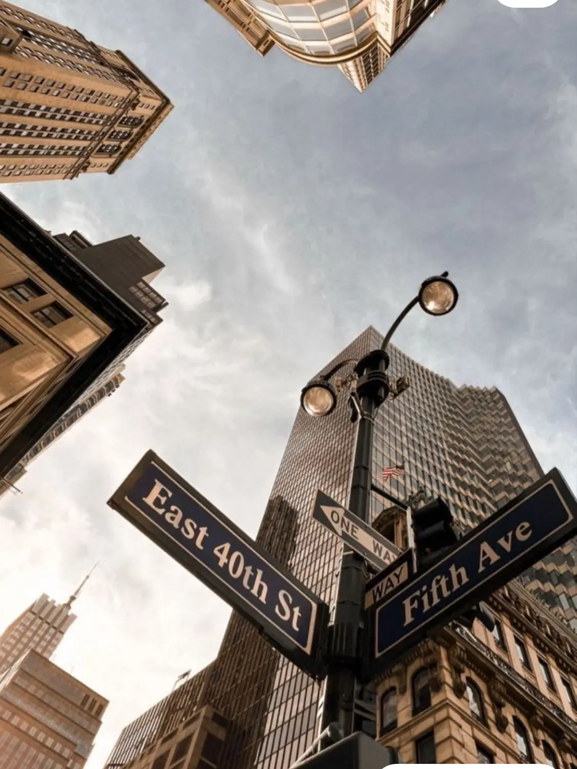 knt_hbr_zeffiro의 腹黒王子