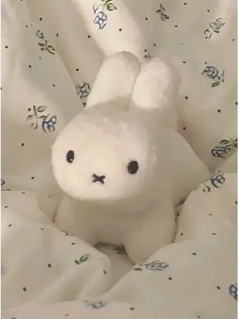 LovedCable2913의 미수반에 입사했다?