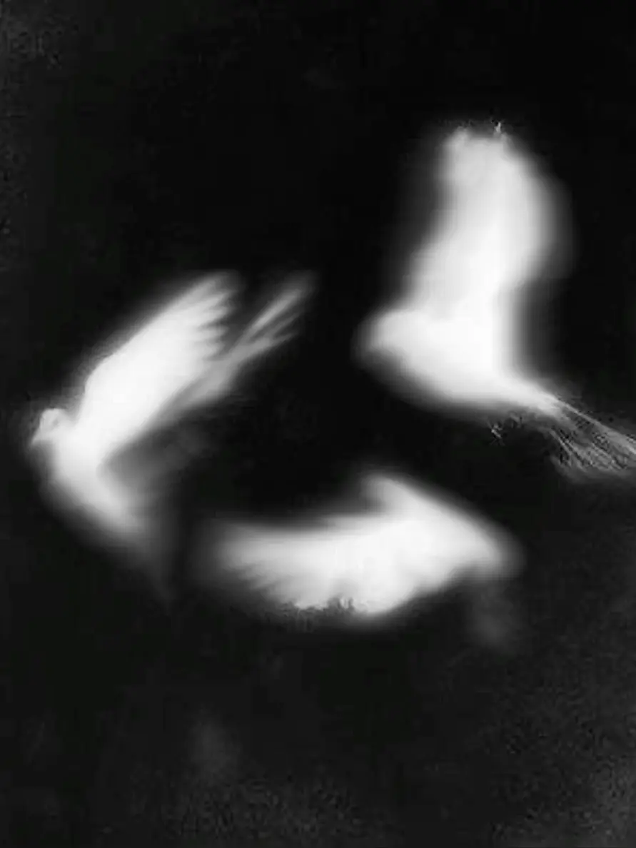 Drown0의 唯我獨尊