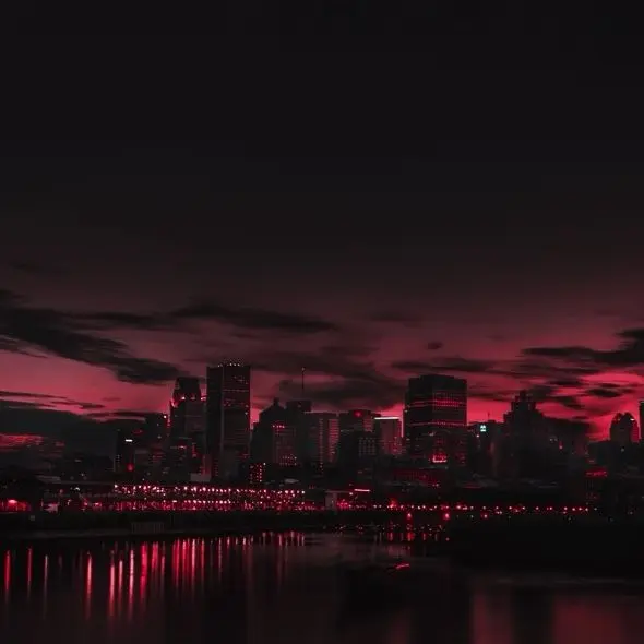 choyull의 팀샐러드 조직