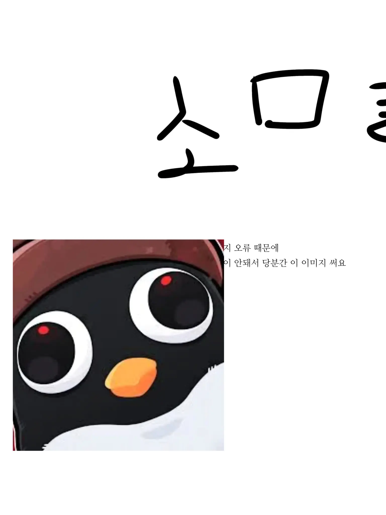 Se01.Yu의 길가다 주운 이상한 디지털 카메라?