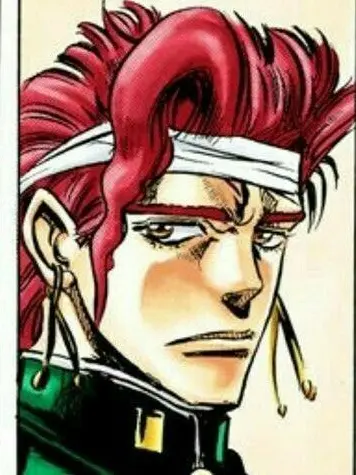 NotPeonsick의 花京院 典明