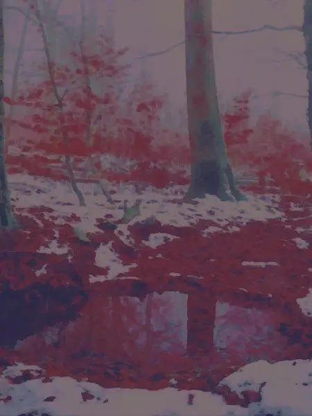0902__의 ㅤ