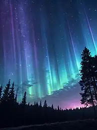 star__y의 미수반 오프레