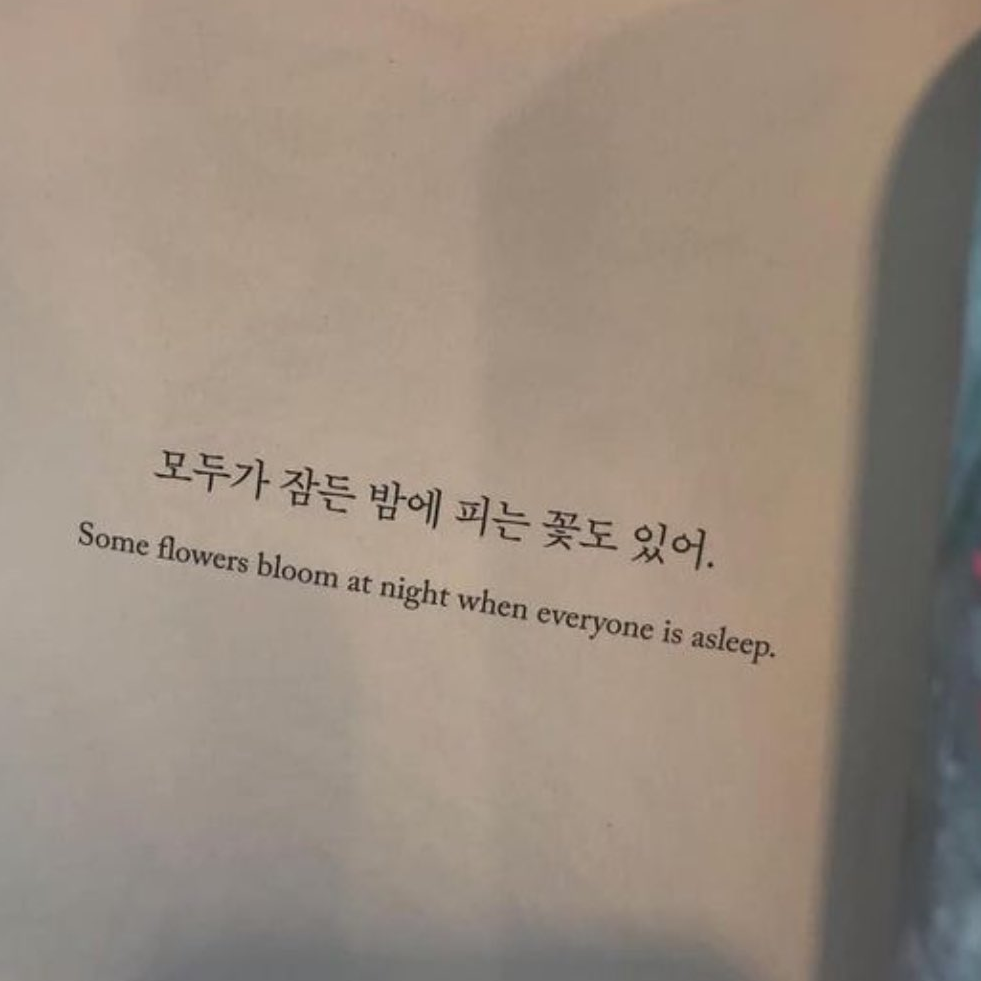 미스터리 수사반 대표 이미지
