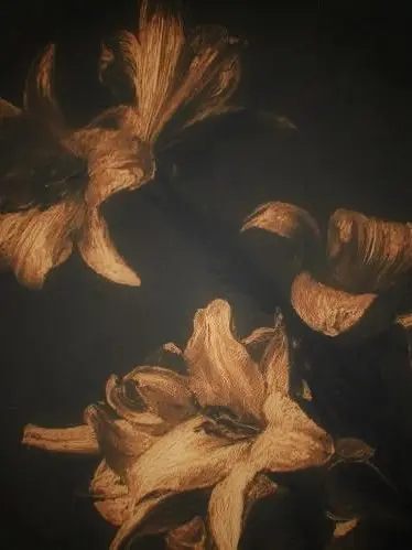 ItchyCrew5183의 Like a Single Daffodil