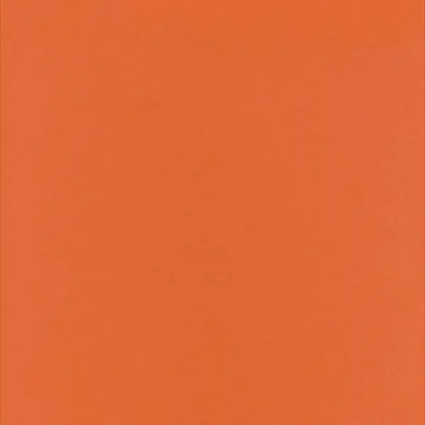 mz9_3mr의 向井康二