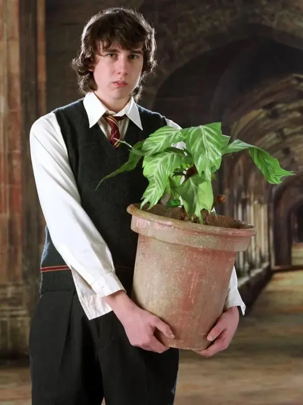 RULERZREACHF4N의 Neville Longbottom