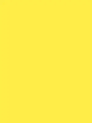 DeafFob7009의 正義の執行人