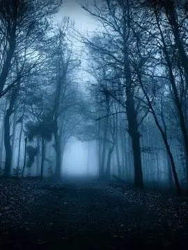 MoodyDull7653의 ❤️にアレを目撃されてしまう話