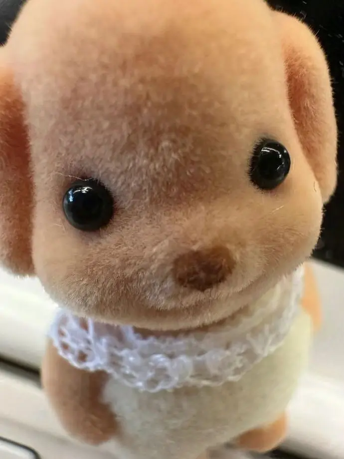 mio.2008의 제이슨 밀러