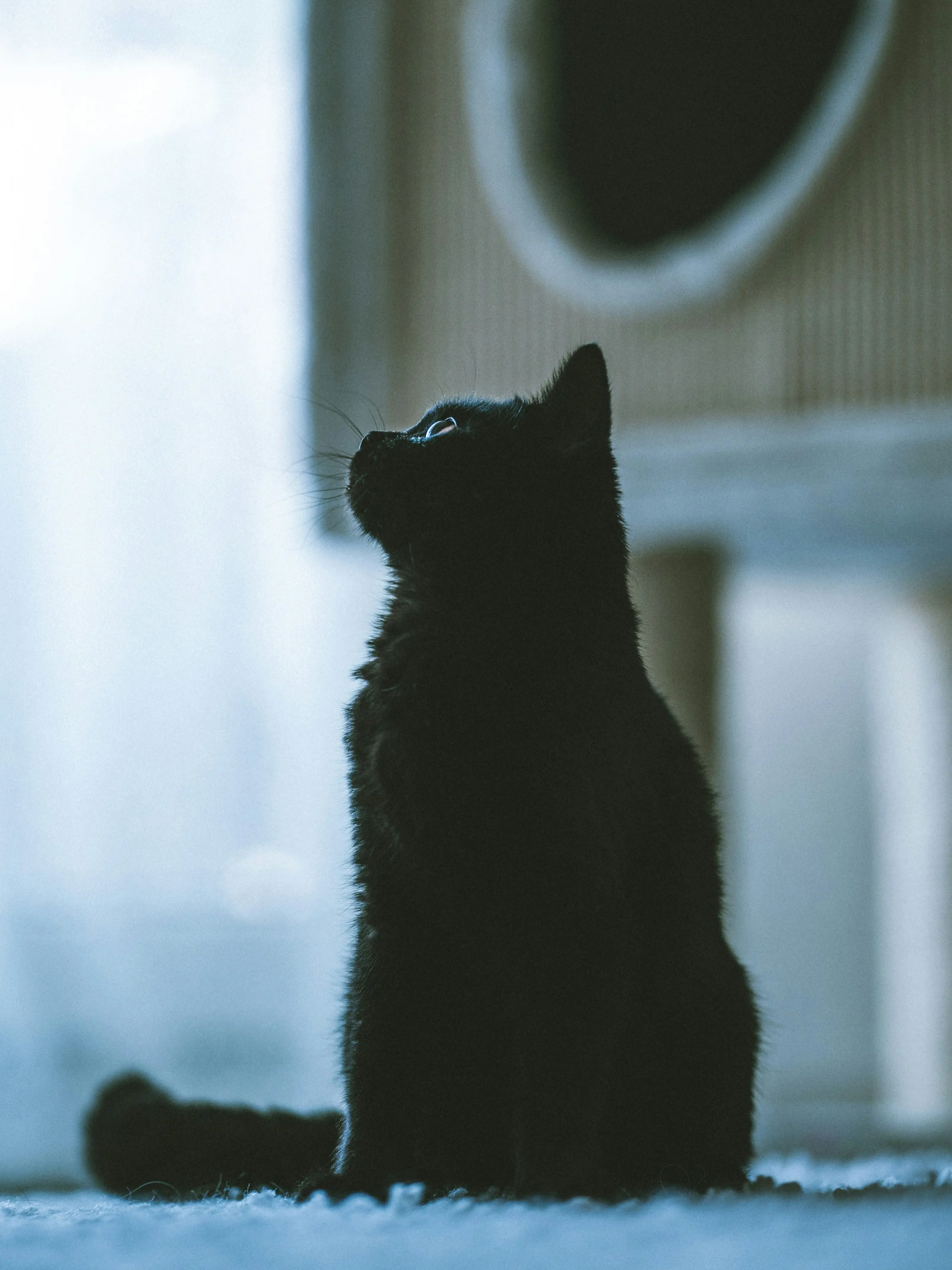 jk7의 🪶 넌 날 그리워하게 될 거야