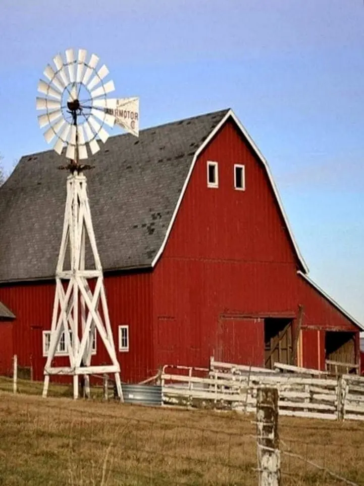 Ink-D-Red의 Mr. A's farm~~