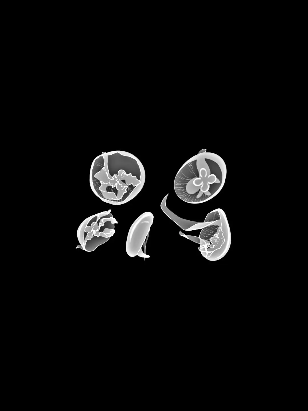 RowdyWorm7242의 シェアハウス