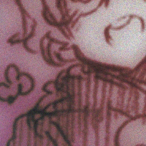 ♡♡♡