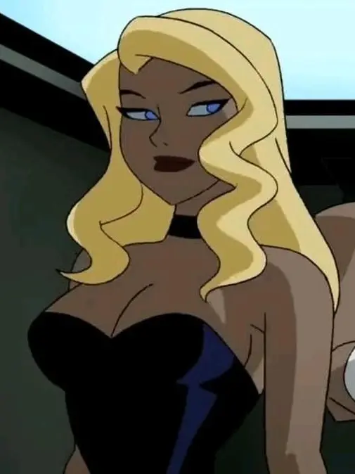 OpaqueBison8780의 Black canary - Dinah Lance