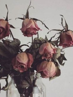 나의 자캐~~ 대표 이미지