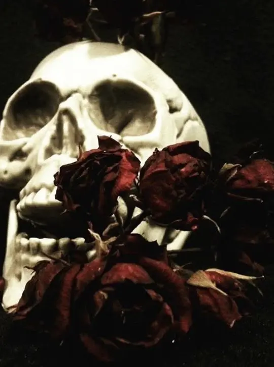 loveland.parfait의 All That Is, All That Becomes [ bl ]