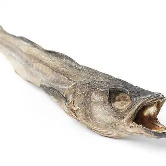 Haikyuu_love의 黒尾 鉄朗