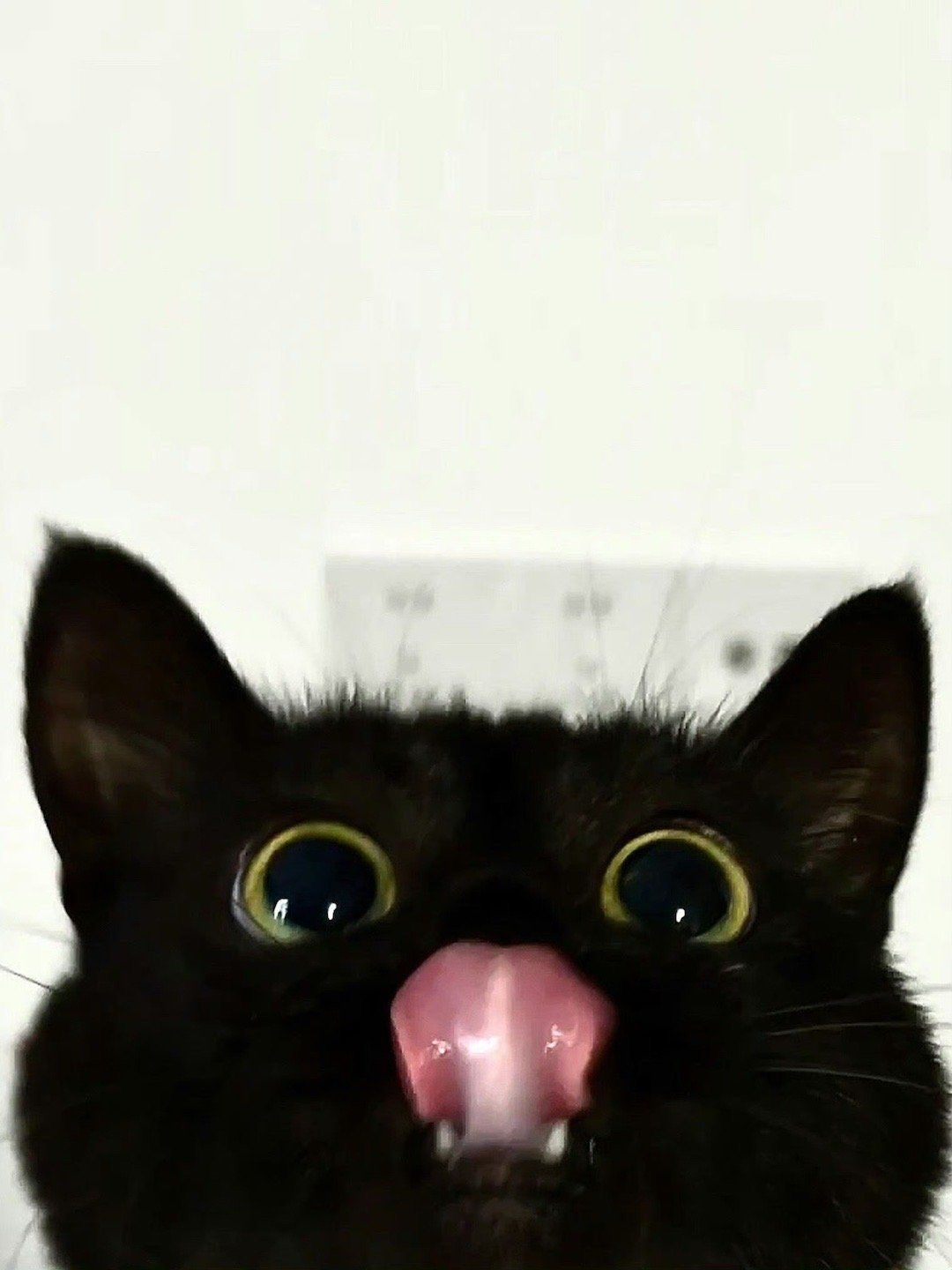 까칠 싸가지 깜고 대표 이미지